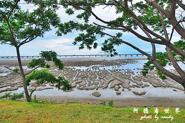 panama5D7000 008.JPG panama5D7000 008.JPG