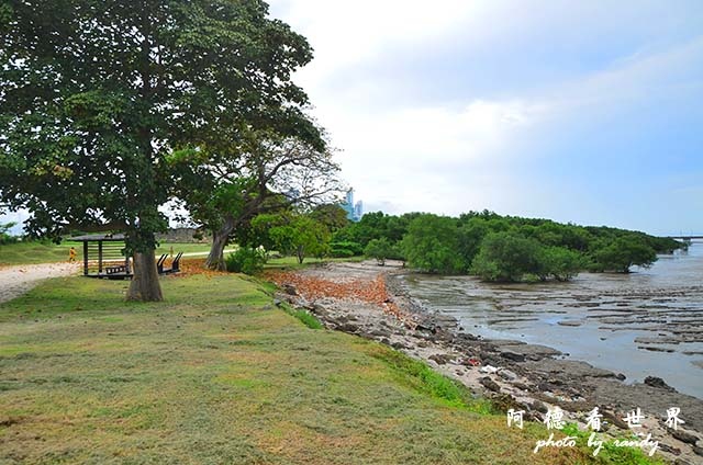 panama5D7000 016.JPG panama5D7000 016.JPG