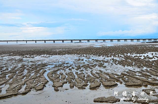 panama5D7000 013.JPG panama5D7000 013.JPG