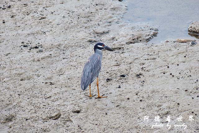 panama5FZ200 (1).JPG panama5FZ200 (1).JPG