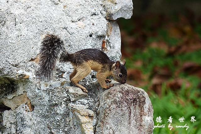 panama5FZ200 (25).JPG panama5FZ200 (25).JPG