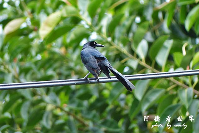 panama5FZ200 (43).JPG panama5FZ200 (43).JPG