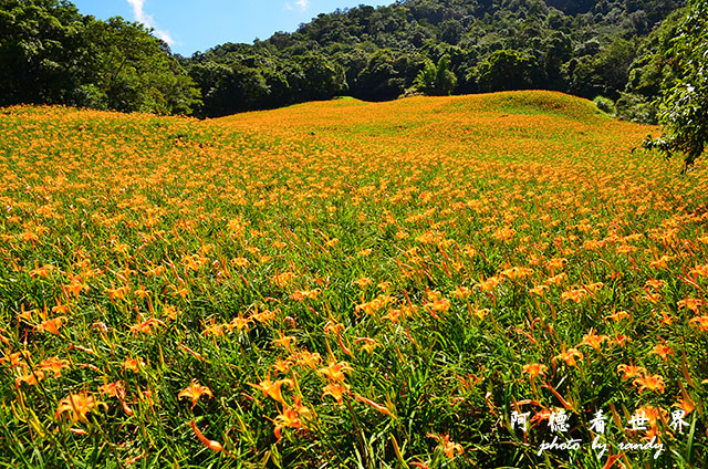 赤柯山D7000 013.JPG 赤柯山D7000 013.JPG