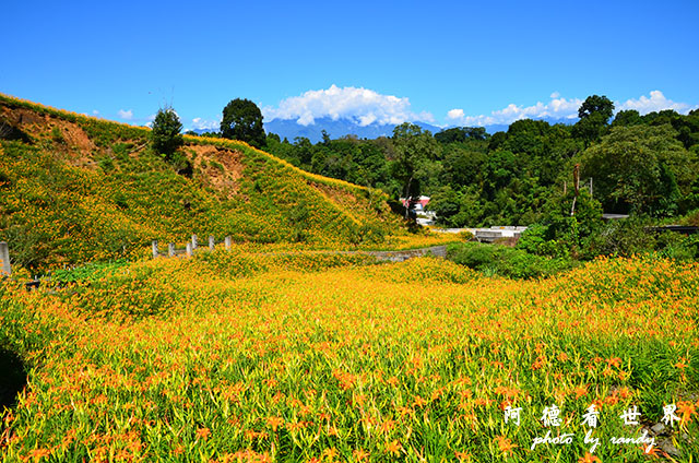 赤柯山D7000 019.JPG 赤柯山D7000 019.JPG