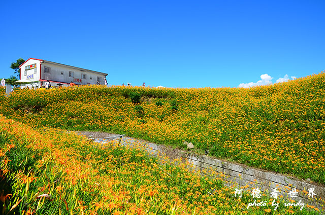 赤柯山D7000 025.JPG 赤柯山D7000 025.JPG