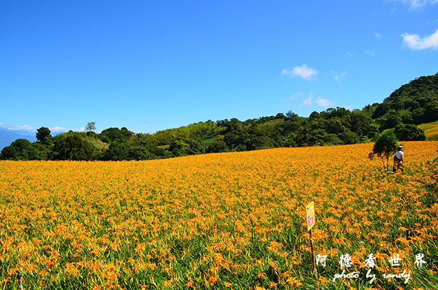 赤柯山D7000 040.JPG