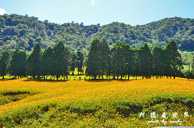 赤柯山D7000 044.JPG 赤柯山D7000 044.JPG