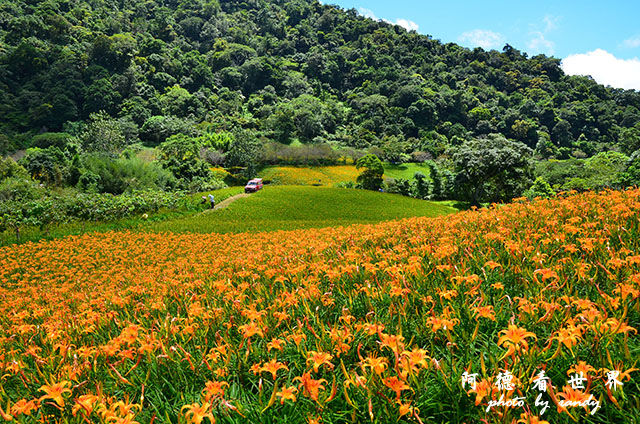 赤柯山D7000 096.JPG 赤柯山D7000 096.JPG