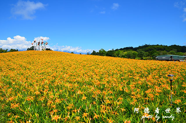 赤柯山D7000 097.JPG