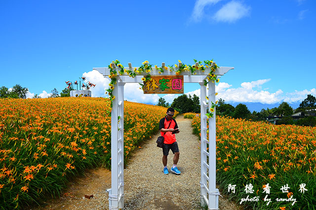 赤柯山D7000 100.JPG 赤柯山D7000 100.JPG