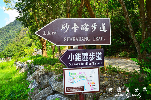 砂卡礑步道D7000 012.JPG 砂卡礑步道D7000 012.JPG