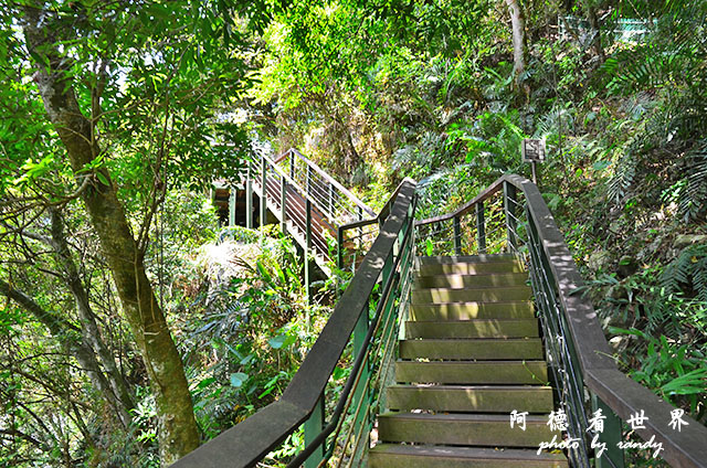 砂卡礑步道D7000 020.JPG 砂卡礑步道D7000 020.JPG