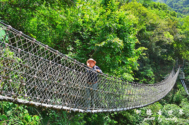 砂卡礑步道D7000 025.JPG 砂卡礑步道D7000 025.JPG