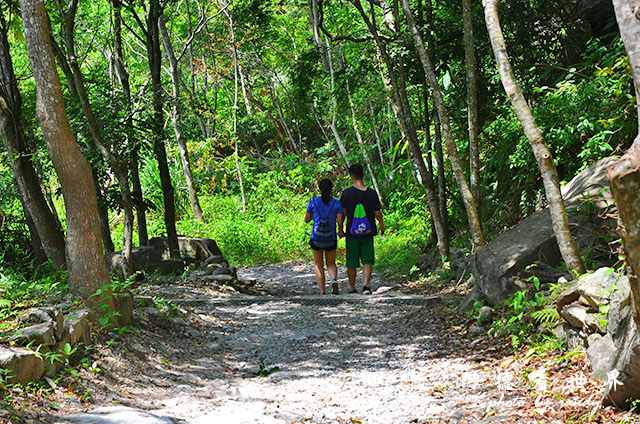 砂卡礑步道D7000 035.JPG 砂卡礑步道D7000 035.JPG