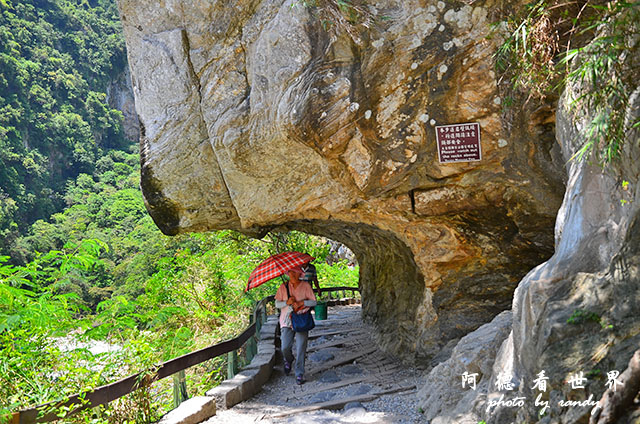 砂卡礑步道D7000 045.JPG 砂卡礑步道D7000 045.JPG