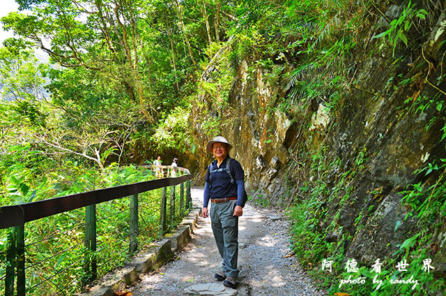 砂卡礑步道D7000 067.JPG 砂卡礑步道D7000 067.JPG