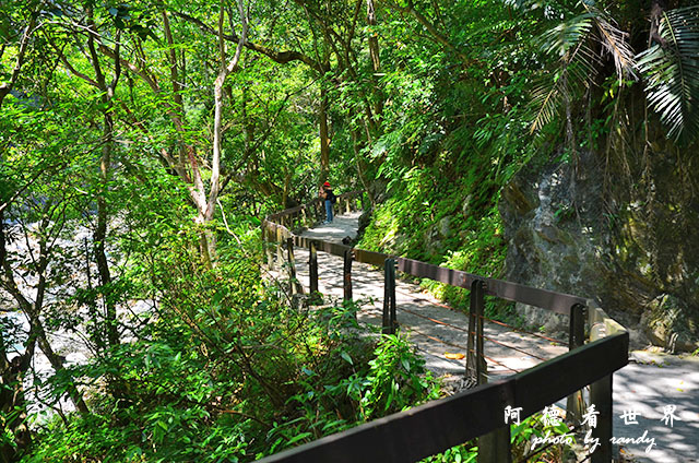 砂卡礑步道D7000 075.JPG 砂卡礑步道D7000 075.JPG