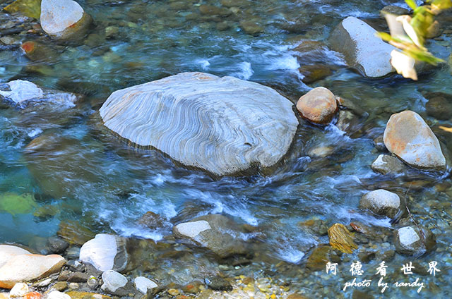 砂卡礑步道D7000 101.JPG 砂卡礑步道D7000 101.JPG