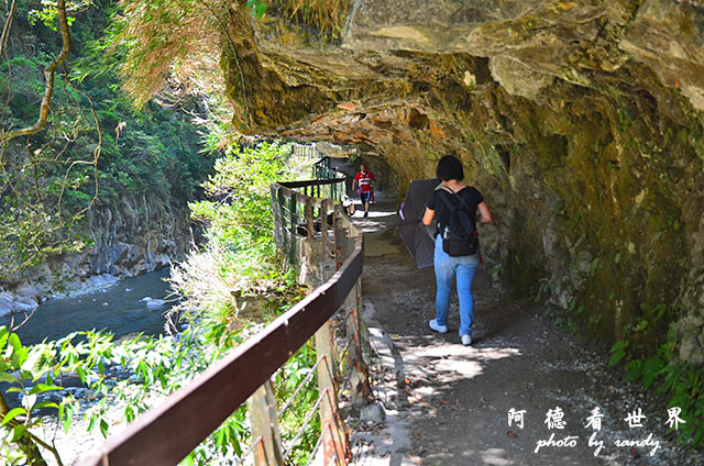 砂卡礑步道D7000 095.JPG 砂卡礑步道D7000 095.JPG