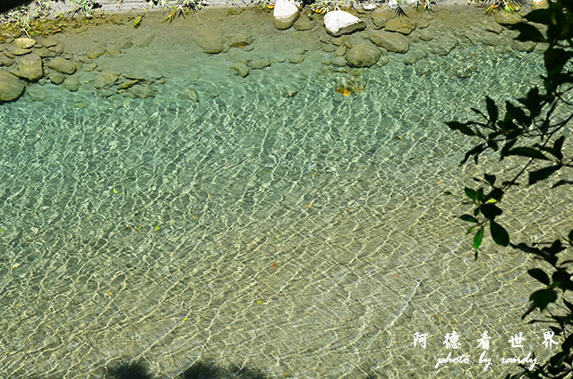 砂卡礑步道D7000 127.JPG 砂卡礑步道D7000 127.JPG