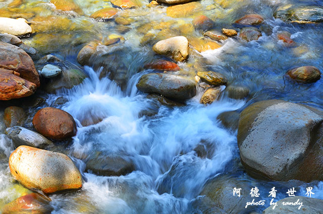 砂卡礑步道D7000 147.JPG 砂卡礑步道D7000 147.JPG