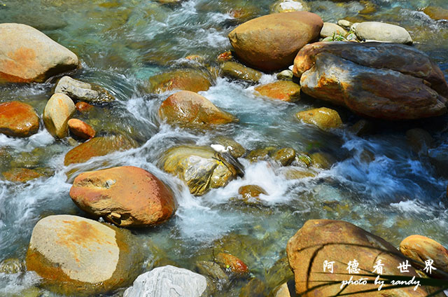 砂卡礑步道D7000 140.JPG 砂卡礑步道D7000 140.JPG