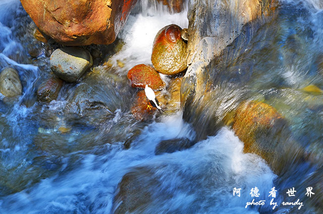 砂卡礑步道D7000 148.JPG 砂卡礑步道D7000 148.JPG