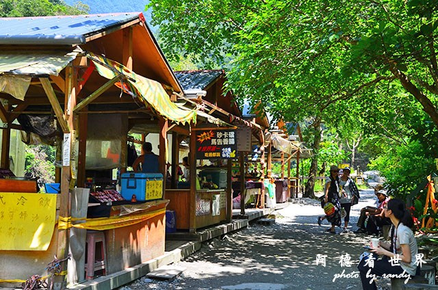 砂卡礑步道D7000 153.JPG 砂卡礑步道D7000 153.JPG