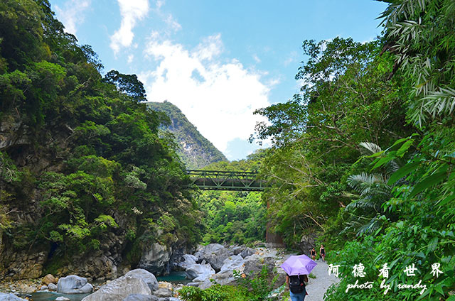 砂卡礑步道D7000 168.JPG 砂卡礑步道D7000 168.JPG