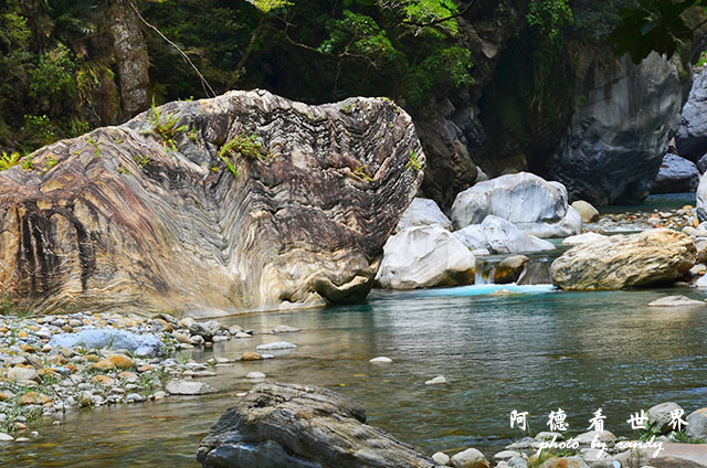 砂卡礑步道D7000 165.JPG 砂卡礑步道D7000 165.JPG