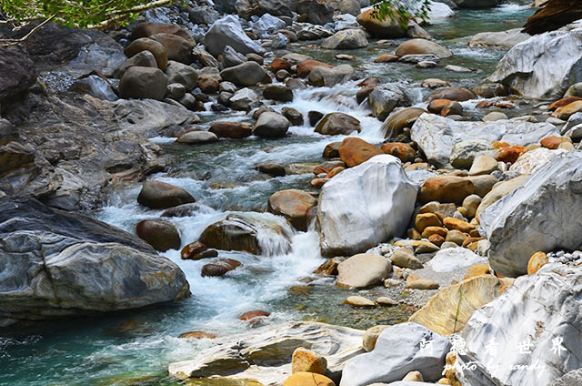 砂卡礑步道D7000 178.JPG 砂卡礑步道D7000 178.JPG