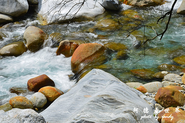 砂卡礑步道D7000 179.JPG 砂卡礑步道D7000 179.JPG