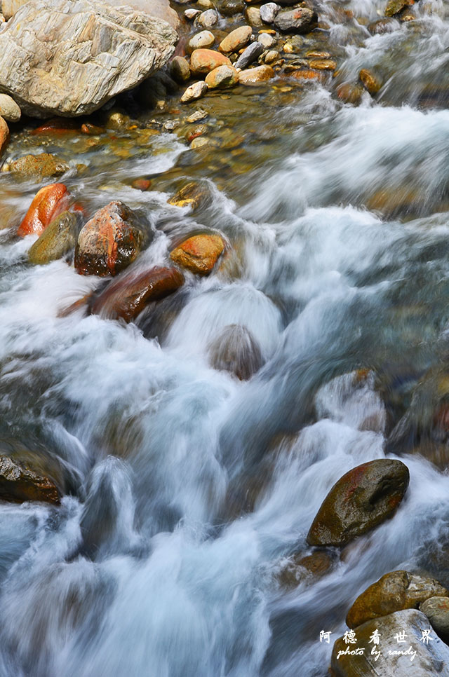 砂卡礑步道D7000 189.JPG 砂卡礑步道D7000 189.JPG