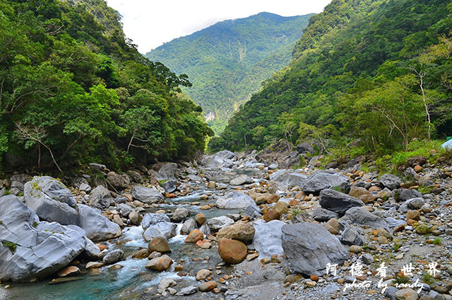 砂卡礑步道D7000 197.JPG 砂卡礑步道D7000 197.JPG