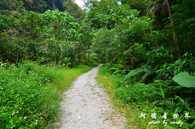 砂卡礑步道D7000 213.JPG 砂卡礑步道D7000 213.JPG