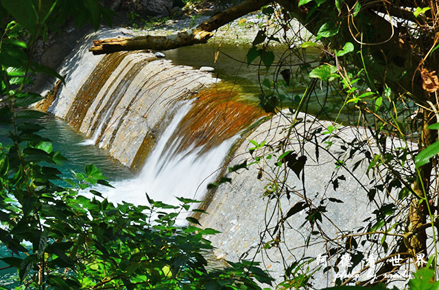 砂卡礑步道D7000 218.JPG 砂卡礑步道D7000 218.JPG