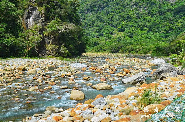 砂卡礑步道D7000 221.JPG 砂卡礑步道D7000 221.JPG