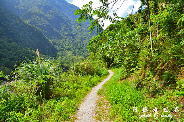 砂卡礑步道D7000 225.JPG 砂卡礑步道D7000 225.JPG