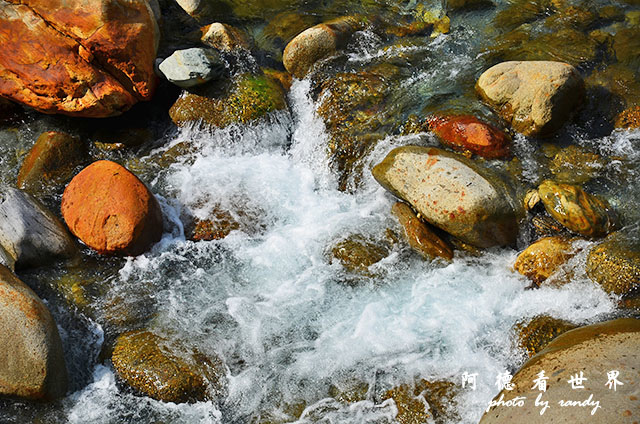 砂卡礑步道D7000 280.JPG 砂卡礑步道D7000 280.JPG