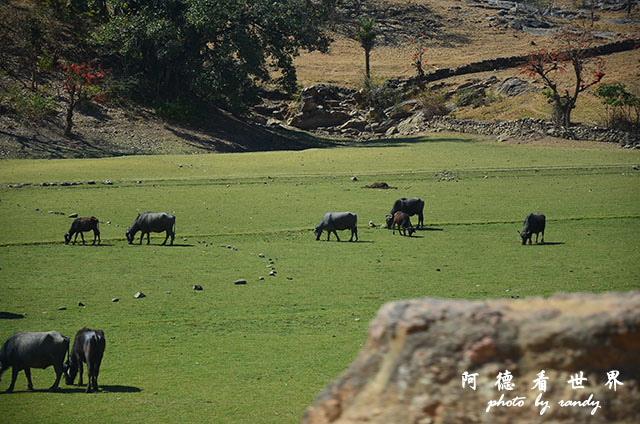 udaipur1-kumbhalgarhD7000 119.JPG udaipur1-kumbhalgarhD7000 119.JPG