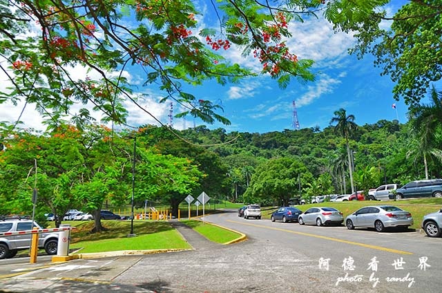 panama5D7000 126.JPG panama5D7000 126.JPG