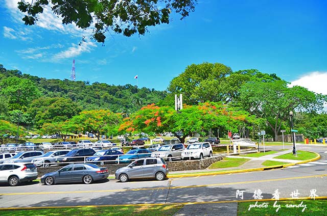 panama5D7000 131.JPG panama5D7000 131.JPG