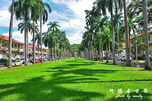 panama5D7000 165.JPG panama5D7000 165.JPG