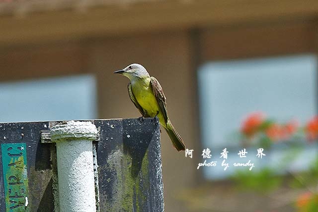 panama5FZ200 (44).JPG panama5FZ200 (44).JPG