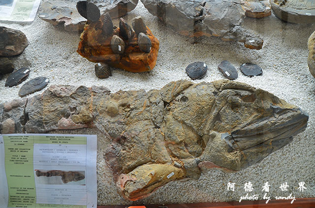 leyva3D7000 019.JPG leyva3D7000 019.JPG