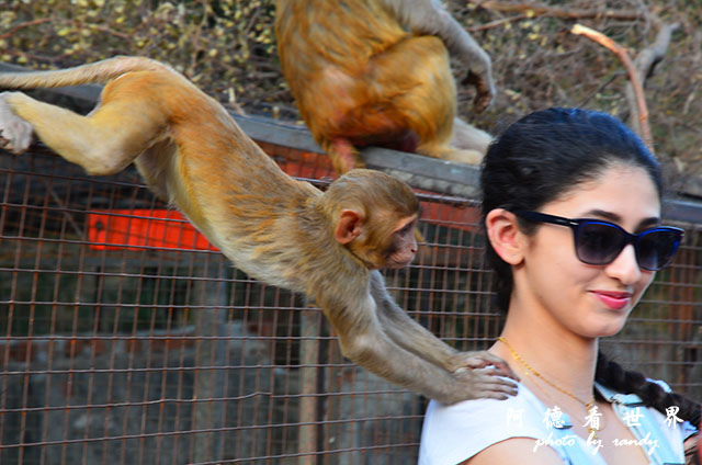 jaipur1D7000 033.JPG jaipur1D7000 033.JPG