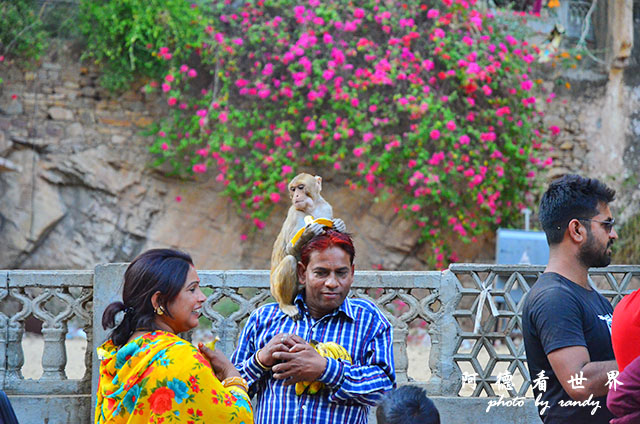 jaipur1D7000 077.JPG jaipur1D7000 077.JPG