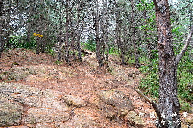 leyva2D7000 062.JPG leyva2D7000 062.JPG