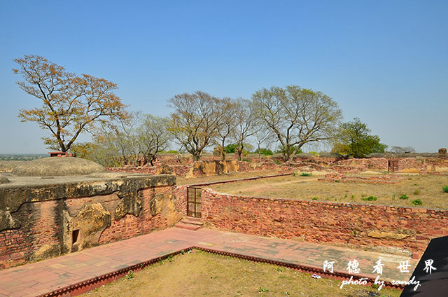 agra1D7000 119.JPG agra1D7000 119.JPG