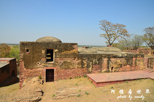 agra1D7000 118.JPG agra1D7000 118.JPG